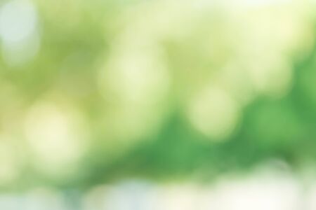 Abstract Green Bokeh Light Backgroundの写真素材
