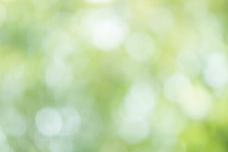 Abstract Green Bokeh Light Backgroundの写真素材