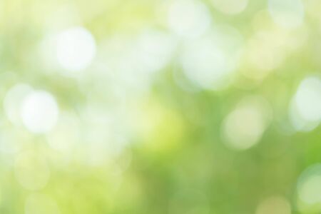 Abstract Green Bokeh Light Backgroundの写真素材