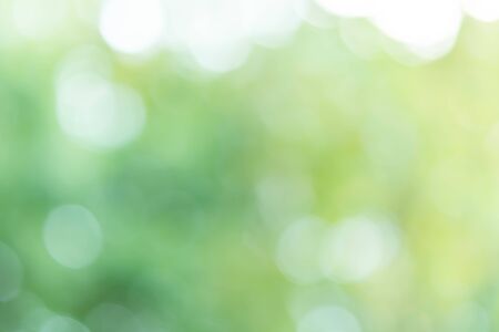 Abstract Green Bokeh Light Backgroundの写真素材