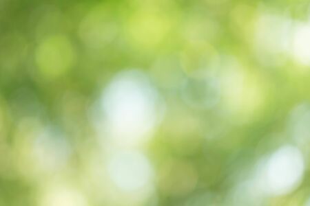 Abstract Green Bokeh Light Backgroundの写真素材