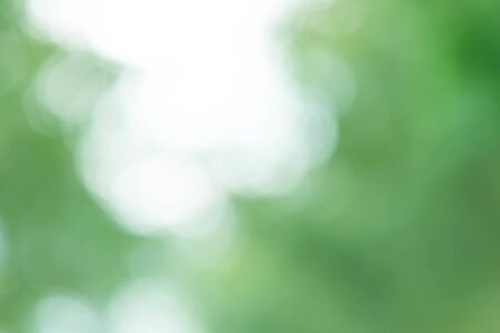 Abstract Green Bokeh Light Backgroundの写真素材