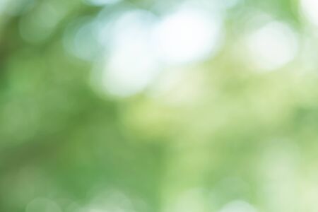 Abstract Green Bokeh Light Backgroundの写真素材