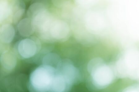 Abstract Green Bokeh Light Backgroundの写真素材