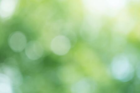Abstract Green Bokeh Light Backgroundの写真素材
