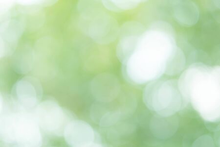 Abstract Green Bokeh Light Backgroundの写真素材