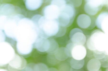 Green Bokeh Backgroundの写真素材