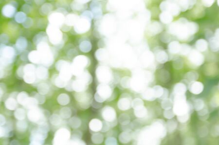 Green Bokeh Backgroundの写真素材