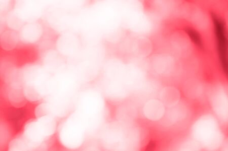 rose bokeh abstract backgroundの写真素材