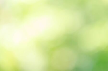 Green bokeh on nature defocus art abstract blur backgroundの写真素材