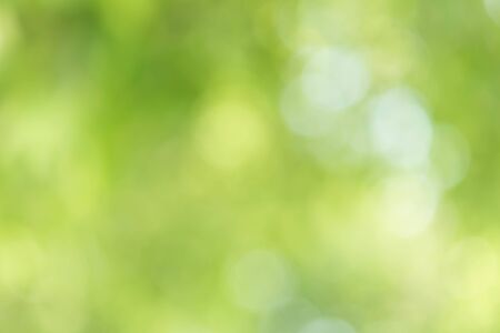 Green Bokeh Backgroundの写真素材
