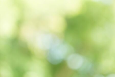 Green Bokeh Backgroundの写真素材