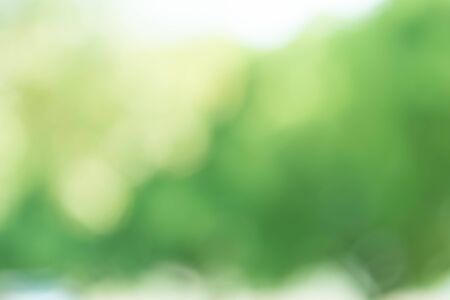 Abstract Green Bokeh Light Backgroundの写真素材