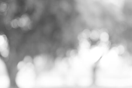 gray abstract bokeh background from nature environmentの写真素材