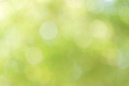 Abstract Green Bokeh Backgroundの写真素材