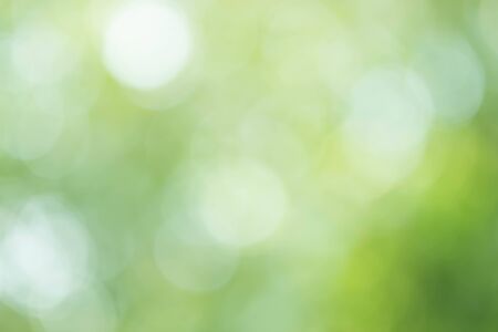 Abstract Green Bokeh Light Backgroundの写真素材