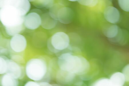 Green Bokeh Backgroundの写真素材