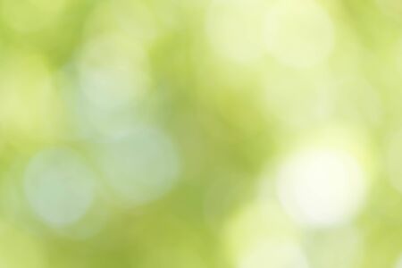Abstract Green Bokeh Backgroundの写真素材