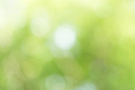 Green Bokeh Backgroundの写真素材