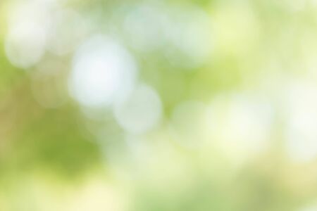 Green Bokeh Backgroundの写真素材