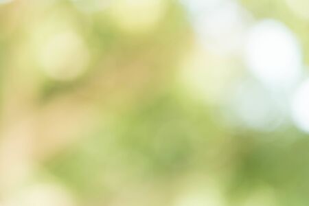 Green Bokeh Backgroundの写真素材