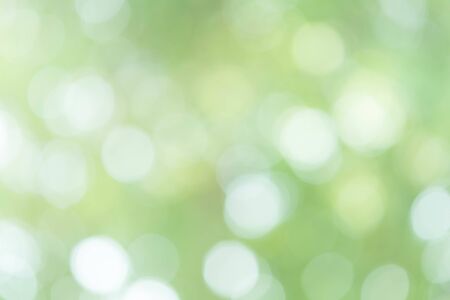 Circle bokeh on the green backgroundの写真素材