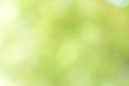 Abstract Green Bokeh Backgroundの写真素材