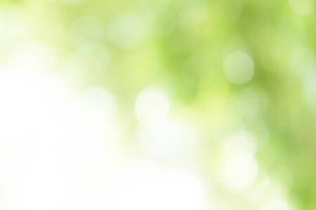 Abstract Green Bokeh Backgroundの写真素材
