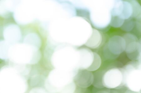 Green Bokeh Backgroundの写真素材