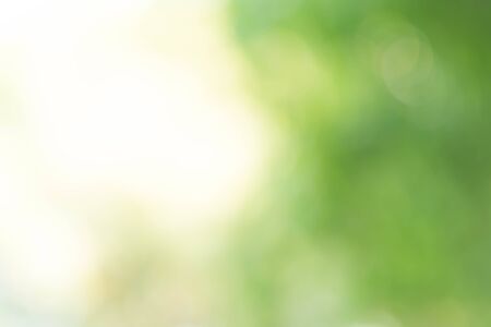 Abstract Green Bokeh Backgroundの写真素材