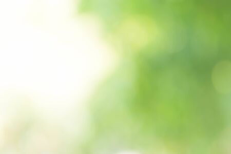 Abstract Green Bokeh Backgroundの写真素材