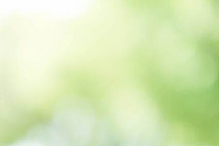 Abstract Green Bokeh Backgroundの写真素材
