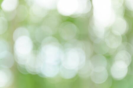 Green Bokeh Backgroundの写真素材