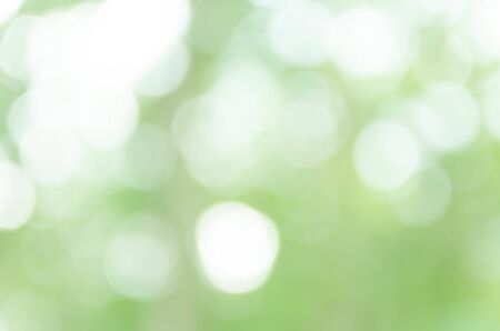 Green Bokeh Backgroundの写真素材