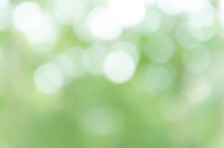 Green Bokeh Backgroundの写真素材