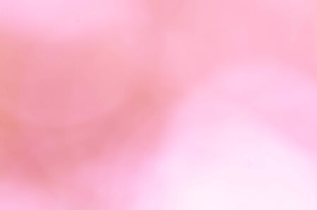 rose abstract bokeh lights defocused backgroundの写真素材