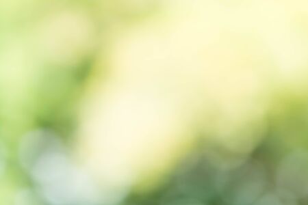 Abstract Green Bokeh Backgroundの写真素材