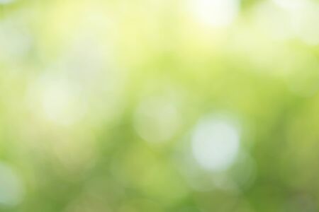 Green Bokeh Backgroundの写真素材