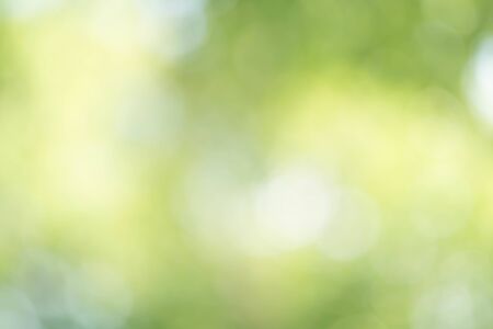 Green Bokeh Backgroundの写真素材