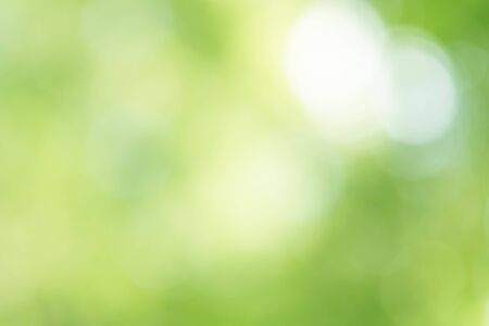 Green Bokeh Backgroundの写真素材