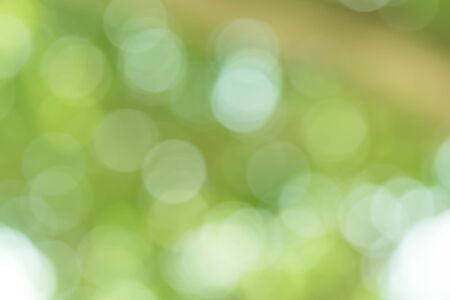 Abstract circular green bokeh backgroundの写真素材