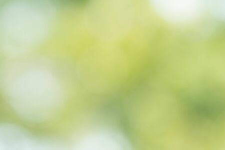 Abstract circular green bokeh backgroundの写真素材
