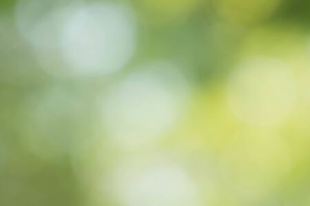 Abstract circular green bokeh backgroundの写真素材
