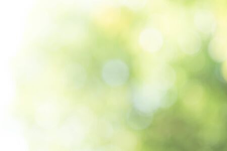 Circle bokeh on the green backgroundの写真素材
