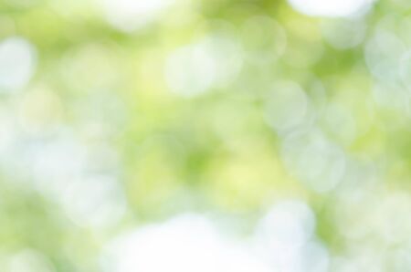 Abstract natural green bokeh backgroundの写真素材