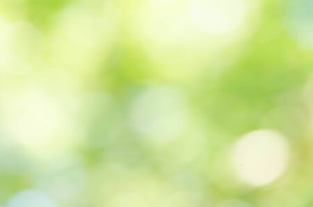 Abstract green bokeh background from trees in the parkの写真素材