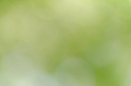 Abstract green bokeh background from trees in the parkの写真素材