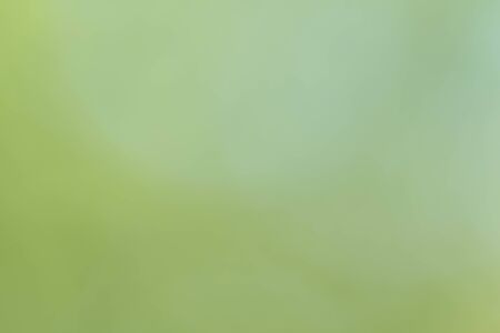 Abstract circular green bokeh backgroundの写真素材