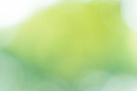 Abstract circular green bokeh backgroundの写真素材