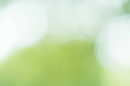 Abstract circular green bokeh backgroundの写真素材
